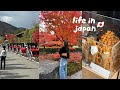 ENG ) 京都VLOG - 日頃の疲れを秋の日帰り京都で癒すㅣ紅葉時期の嵯峨野トロッコ、嵐山穴場カフェ、ランチ - DAILY LIFE IN JAPAN