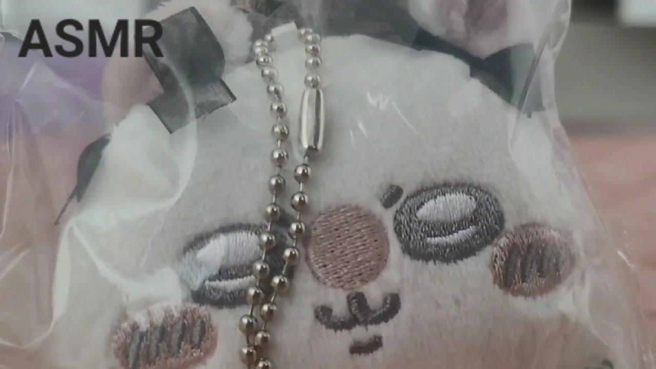 ASMR 꽃잎/갓/소라/사자