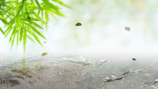 Beautiful Calming Music - Water Relaxing