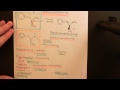 Amphetamine and Methamphetamine Part 2