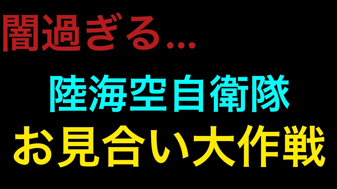 陸海空自衛隊 お見合い大作戦の裏側 Youtube