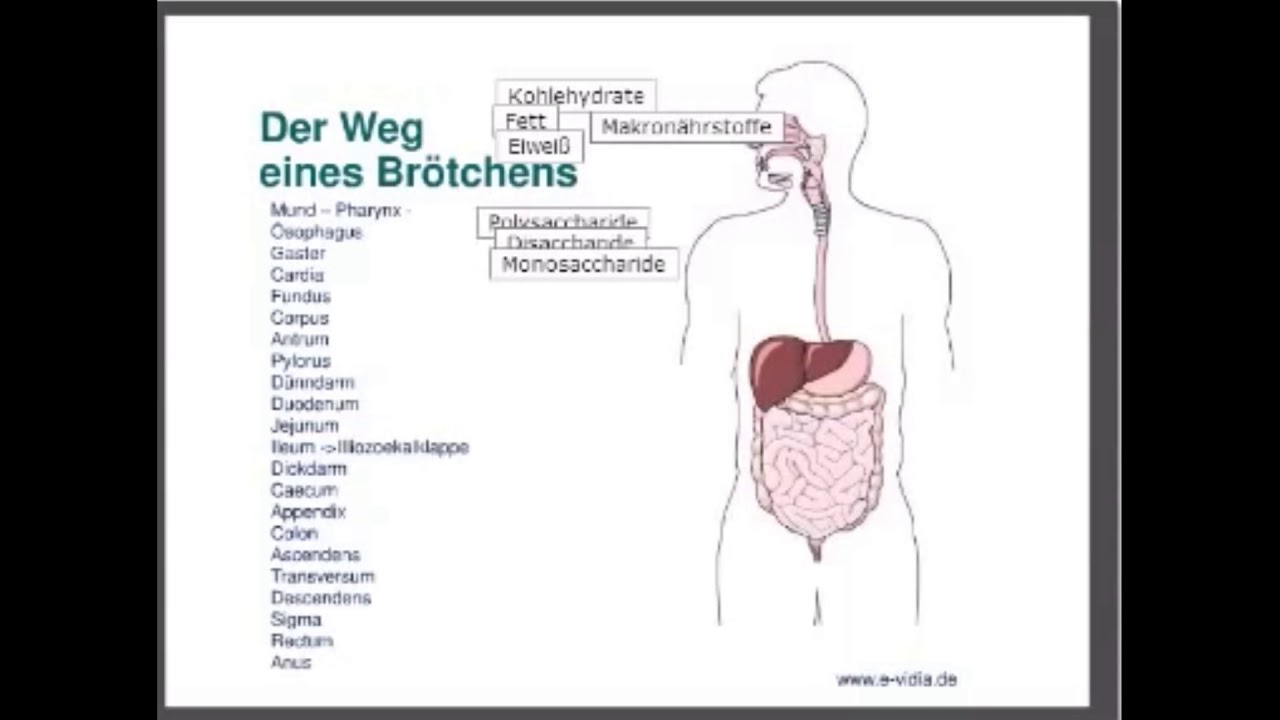 Reflux, Fundoplicatio, Sodbrennen! Wie geht es mir 2 Jahre nach der Operation