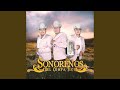 Descargar Cariño Nuevo - Sonoreños Del Compa Tico Descargar Cariño Nuevo - Sonoreños Del Compa Tico