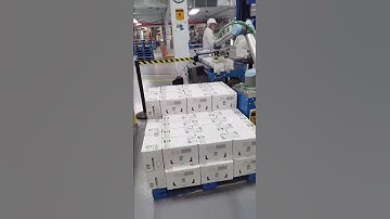 UR palletizer(1)