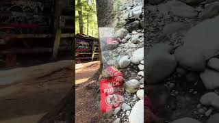 Train Wreck Trail Whistler BC | Hidden Gem Hike #yychomesforsale #TrainWreckTrail #MetroVancouver