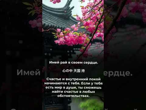 #цитатыпрожизнь #видео #рекомендации #любовьксебе #философияжизни