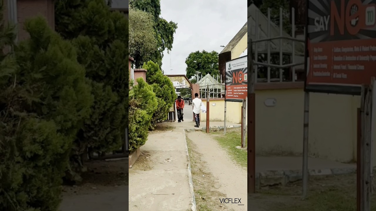 you say 🤣😂 #funny #shortvideo