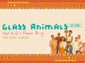 GlassAnimalsVEVO Live Stream