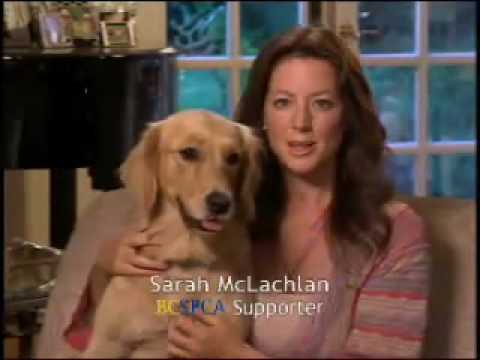 Sarah Mclachlan: Animal Cruelty Commercial