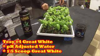 THE GREAT ROOT RACE E#3 - 30 DAY CANNABIS PRODUCT TESTING AND COMPARISON - GROW BOSS
