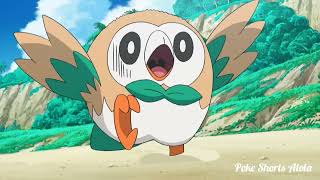 Rowlet is Strong and Sleepy