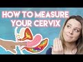 How to Measure Your Cervix
