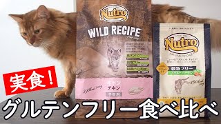 [食べ比べ]ニュートロのグルテンフリー試してみました！猫のごはん