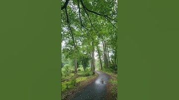 Thumbnail of Hallelujah, Rain, and Solitude: A Greenville Trail Walk. Song by Lucy Thomas