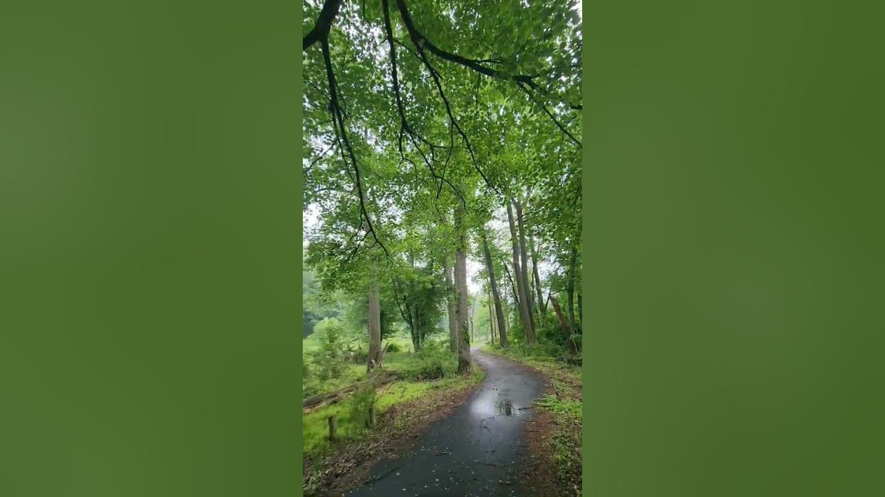 Hallelujah, Rain, and Solitude: A Greenville Trail Walk. Song by Lucy Thomas
