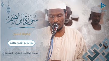 ولا تحسبن الله غافلًا عما يعمل الظالمون | تلاوة خاشعة | أواخر سورة إبراهيم | الشيخ نورالدائم الأمين