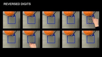 Recognizing reversed and rotated digits via intrinsic robot tactile sensing