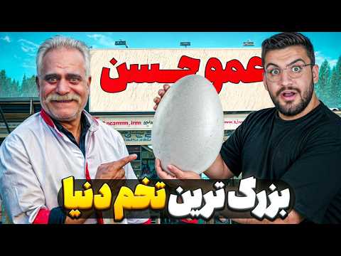 به عمو حسن یه تخم گنده دادیم تا املت بپزه