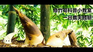 在台北竟然也能採筍子! 暑假親子旅遊的好去處 | 綠竹筍一日農夫體驗 | 日享SunRiseSharing