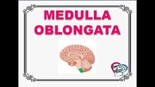 Medulla Oblongata Tamil Function Vomiting Vasomotor Centre Cough Centre Sneezing Centre