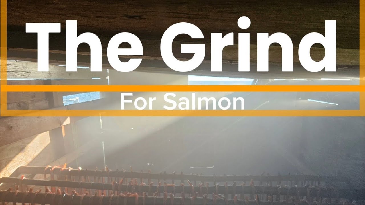 Первый лосось года