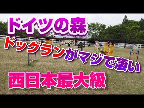 ドイツの森のドッグランがマジで凄い！！【西日本最大級】