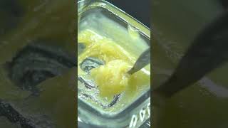 Lady Janes Greasy Bucket Live Rosin + Sauce Greasy Donut Jam from MendoMedical