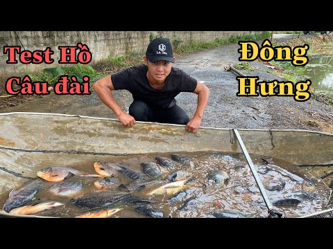 Video Lục Thủ Lk Đi Test Hồ Câu Đài Đông Hưng - youtube