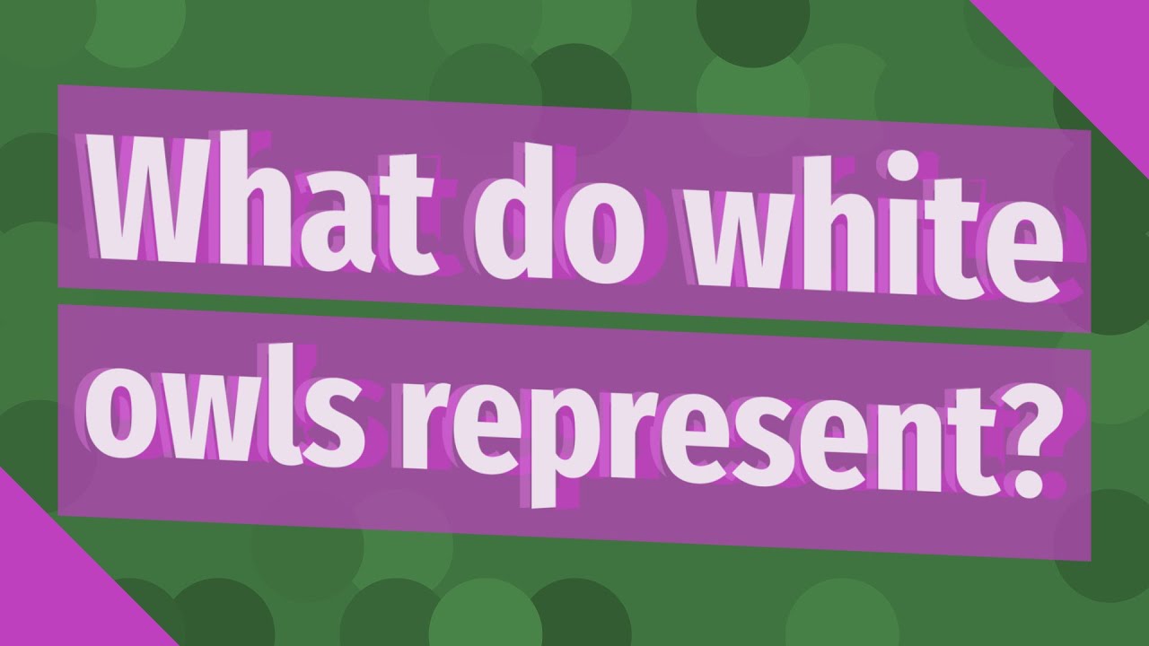 What do white owls represent?