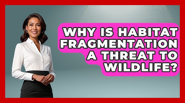 Why Is Habitat Fragmentation a Threat to Wildlife? | Explaining Ecology News