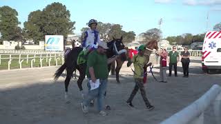 Vidéo de la course PMU PRIX ASOCIACION DE JOVENES DEL TURF