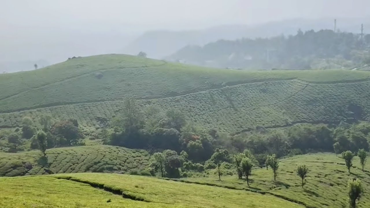 5,000 feet / around 1,500 meters above sea level/ vattavada/ kanthalloor/ marayur/kerala/munnar trip