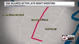 VIDEO: Georgetown County shooting sends one to hospital
