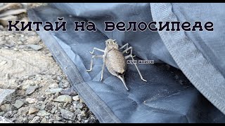 видео: Китай на велосипеде. Часть 2 картинка: Китай на велосипеде. Часть 2