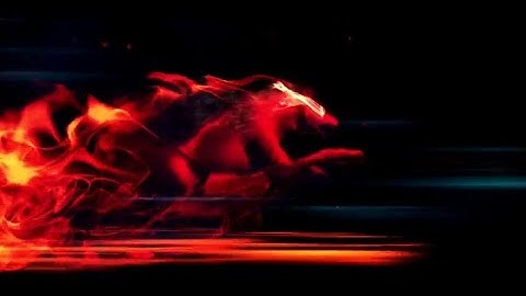 Running panther logo intro . My intro - created by Rupok Animation