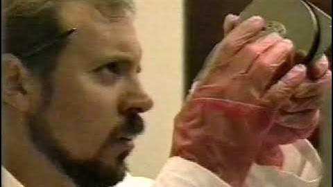 How To Recover Data From A Hard Disk Drive |Essential Information | Expert Insights Recovery Guide💿 