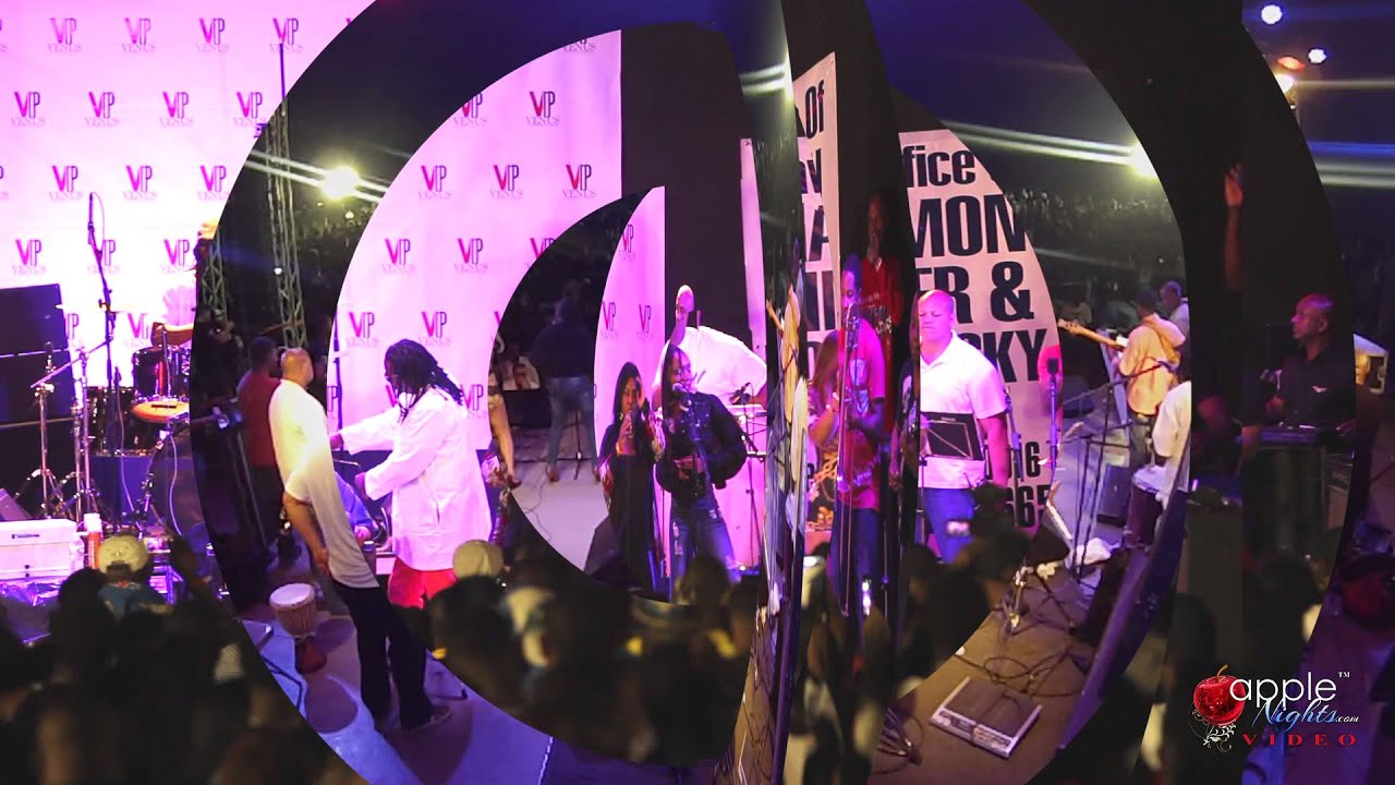 HLDF 2014 feat. Phantoms - video 9 - AppleNights.com