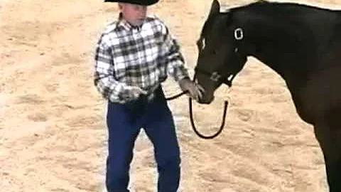 Horse Training with John Lyons - Pull Back Part 1