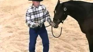 John Lyons Horse that Bites Abused Horse by John Lyons Trainer 