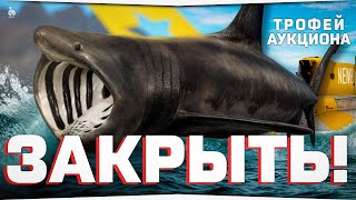 Акула гигантская • Трофей аукциона • Русская Рыбалка 4