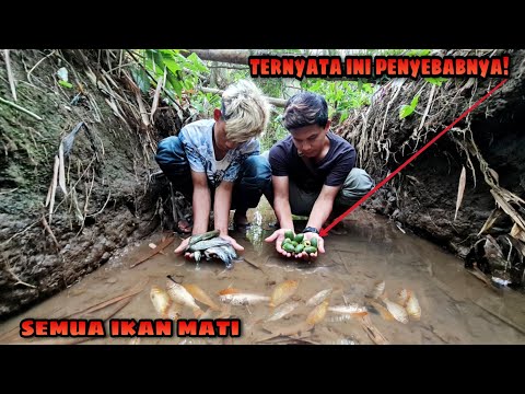Video: Makan Kobra Hidup Di Vietnam: Berjalan Melalui Langkah Demi Langkah - Rangkaian Matador