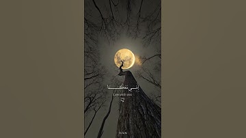 { قالا لا تخافا إنني معكما أسمع و أرى }      سورة طه     #قرآن#قران_كريم#سورة_طه#حالات_واتس