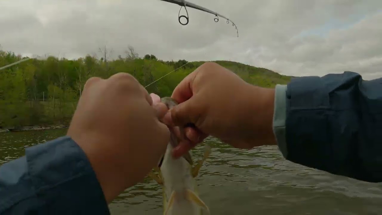 Spring Bass Fishing at Pepacton