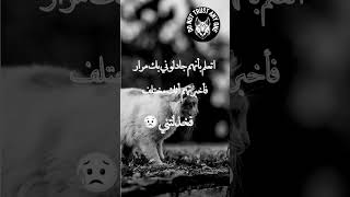 لا تثق بأي أحد 😥😥 #ترند #مواقع_التواصل_الاجتماعي