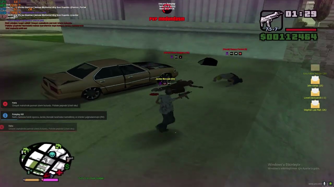 KRALINA BİR  GECE  [unicorn roleplay]