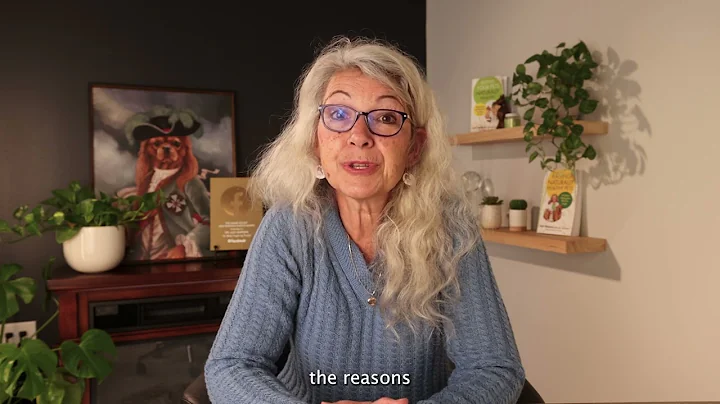 Treating Heart Disease in Dogs