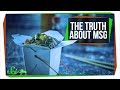 The Truth About MSG and Your Health