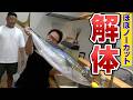 1m超え10kgオーバーの巨大魚解体!