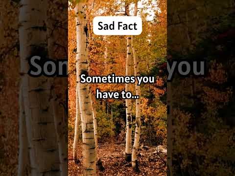 Sad fact