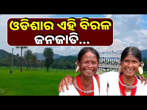 ଆଜି ବିଶ୍ଵ ଆାଦିବାସୀ ଦିବସରେ ଆସନ୍ତୁ ଜାଣିବା ଏହି ବିରଳ ଜନଜାତିଙ୍କ ବିଷୟରେ